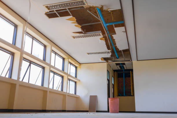 Best Water damage cleanup near me  in Whitesboro, AL