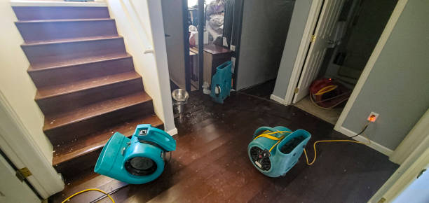 Water damage restoration experts in AL