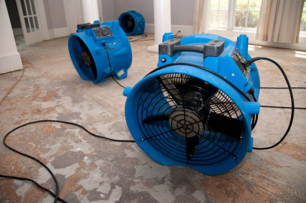 Best Sewage cleanup and water damage restoration  in Whitesboro, AL