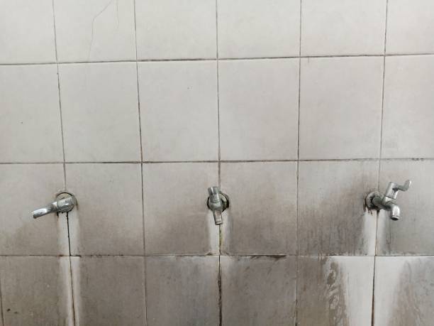 Best Water damage restoration insurance claims  in Whitesboro, AL