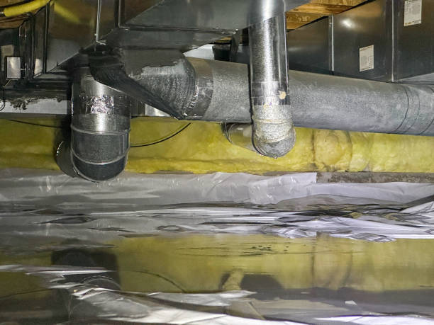 Best Professional water damage repair  in Whitesboro, AL