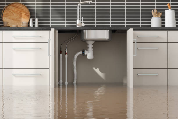 Best Water damage restoration near me  in Whitesboro, AL