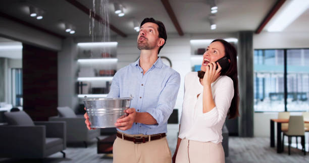 Whitesboro, AL Water damage restoration Pros