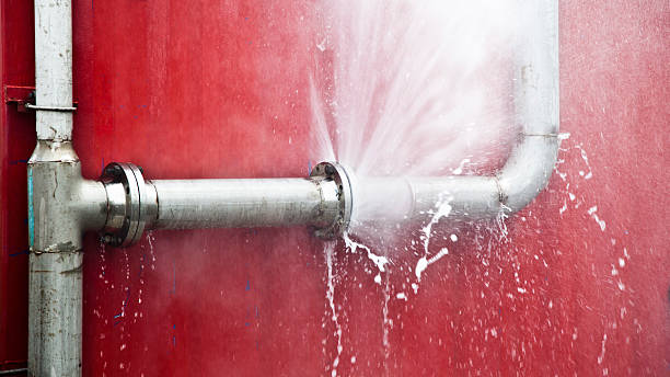 Best 24-hour water damage restoration  in Whitesboro, AL