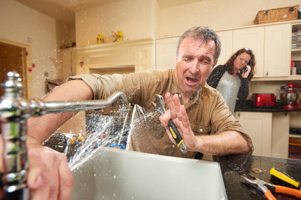 Best Water damage restoration specialists  in Whitesboro, AL